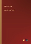 Cover: David King of Israel - Outlook Verlag