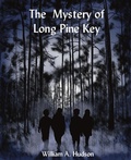 Cover: The Mystery of Long Pine Key - The Little French eBooks
