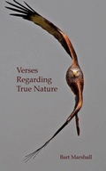 Cover: Verses Regarding True Nature - Realface Press