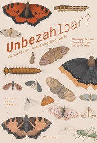 Abbildung von: Unbezahlbar? - Wallstein