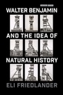 Cover: Walter Benjamin and the Idea of Natural History - Stanford University Press