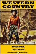 Cover: WESTERN COUNTRY 547: Todestreck - Raidel Vlg eBooks