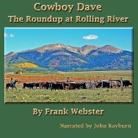 Enlarge image Cover: Cowboy Dave - John D. Rayburn