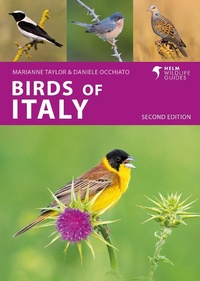 Abbildung von: Birds of Italy - Helm
