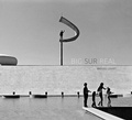 Cover: BIG SUR REAL - edition mono/monochrom