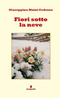 Cover: Fiori sotto la neve - Fermento