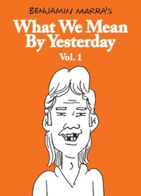 Enlarge image Cover: What We Mean by Yesterday: Vol. 1 - Fantagraphics
