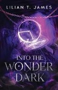 Cover: Into the Wonder Dark - Aleron Books LLC