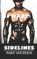 Cover: Sidelines Part Sixteen - Jware
