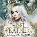 Cover: Lost Feather - Tantor Audio