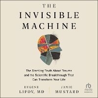 Enlarge image Cover: The Invisible Machine - HighBridge Audio