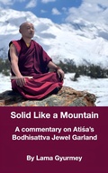 Cover: Solid Like a Mountain - Jason McDonald