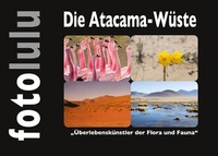 Abbildung von: Die Atacama-Wüste - BoD - Books on Demand
