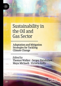 Abbildung von: Sustainability in the Oil and Gas Sector - Palgrave Macmillan