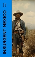 Cover: Insurgent Mexico - e-artnow