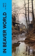 Cover: In Beaver World - e-artnow