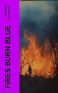 Cover: Fires Burn Blue - e-artnow
