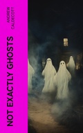 Cover: Not Exactly Ghosts - e-artnow
