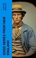 Cover: Good Newes from New England - e-artnow