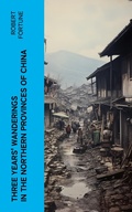 Cover: Three Years' Wanderings in the Northern Provinces of China - e-artnow