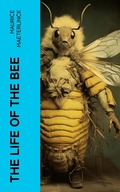 Cover: The Life of the Bee - e-artnow