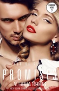 Cover: Promises (Web of Sin, #3) - Romig Works