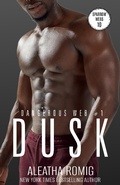 Cover: Dusk (Dangerous Web, #1) - Romig Works
