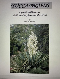 Enlarge image Cover: Yucca Braids - Mark Doherty