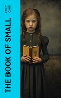Cover: The Book of Small - e-artnow