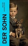 Cover: Der Sohn - e-artnow
