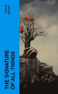 Cover: The Signature of All Things - e-artnow