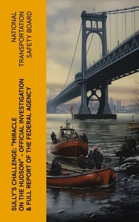 Abbildung von: Sully's Challenge: "Miracle on the Hudson" - Official Investigation & Full Report of the Federal Agency - e-artnow