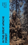 Cover: In the Great Apache Forest - e-artnow