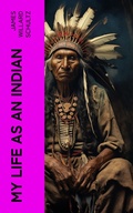 Cover: My Life as an Indian - e-artnow