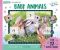 Cover: Baby Animals - North Parade Publishing