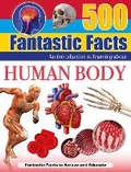 Cover: Human Body - North Parade Publishing