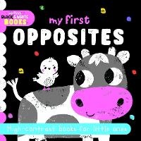Enlarge image Cover: My First Opposites - North Parade Publishing