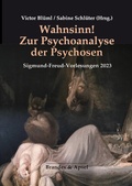 Cover: Wahnsinn! Zur Psychoanalyse der Psychosen - Brandes & Apsel