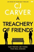 Cover: A Treachery of Friends - Bloodhound Books