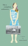 Cover: Like A Complete Unknown - New Wind Publishing