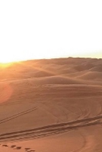 Abbildung von: The position of UAE law on drafting Model contracts - Unknown