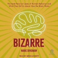 Enlarge image Cover: Bizarre - Tantor Audio