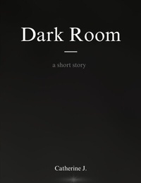 Abbildung von: Dark Room - Catherine J.