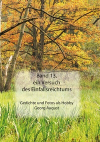 Abbildung von: Band 13, ein Versuch des Einfallsreichtums - Westarp BookOnDemand