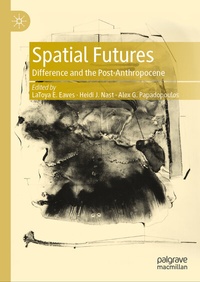 Enlarge image Cover: Spatial Futures - Palgrave Macmillan