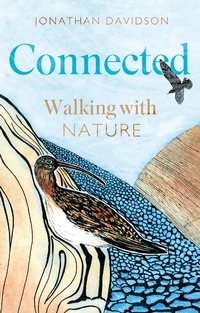 Enlarge image Cover: Connected - Matador