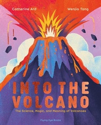 Enlarge image Cover: Into the Volcano - Flying Eye Books