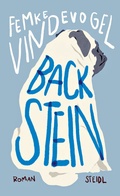 Cover: Backstein - Steidl