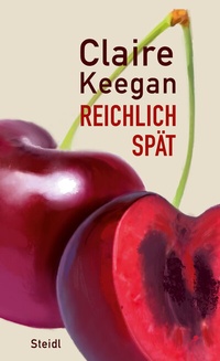 Enlarge image Cover: Reichlich spät - Steidl