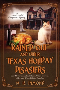 Enlarge image Cover: Rained Out and Other Texas Holiday Disasters - Rock Rose Press